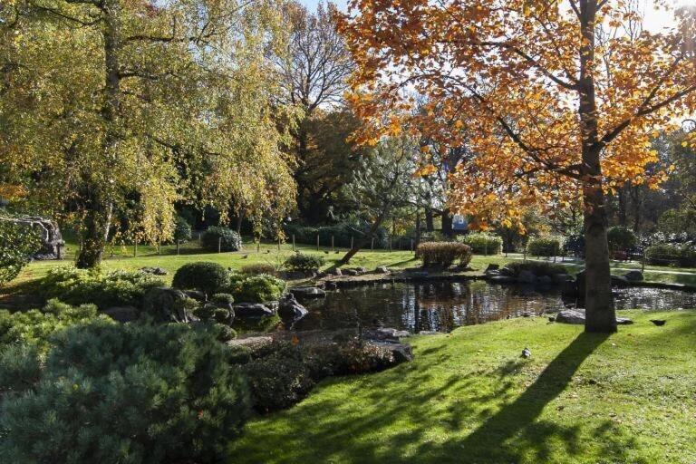 1-Bed Apartment, Close To Kensington Olympia With Free Wi-Fi & Netflix Londyn Zewnętrze zdjęcie